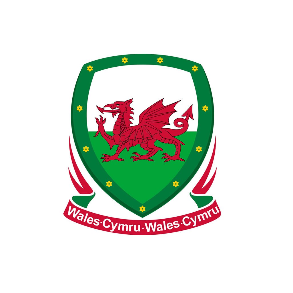 Set of 2 x Welsh Team Crest Iron on Screen Print Transfers for Fabrics Machine Washable Wales Flag Crest patch