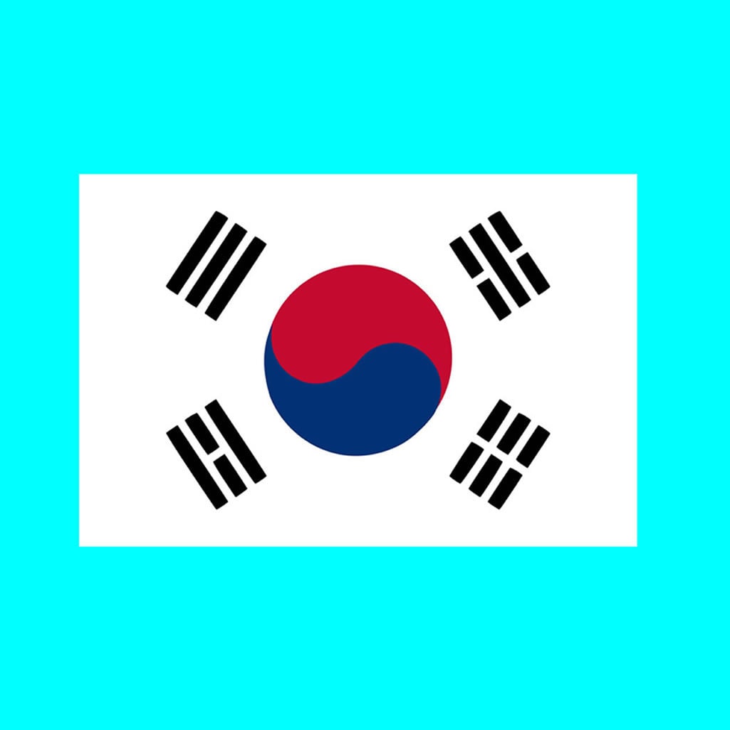 Set of 2 Korea Flag Iron on Screen Print Transfers for Fabrics Machine Washable Korean Flag patch