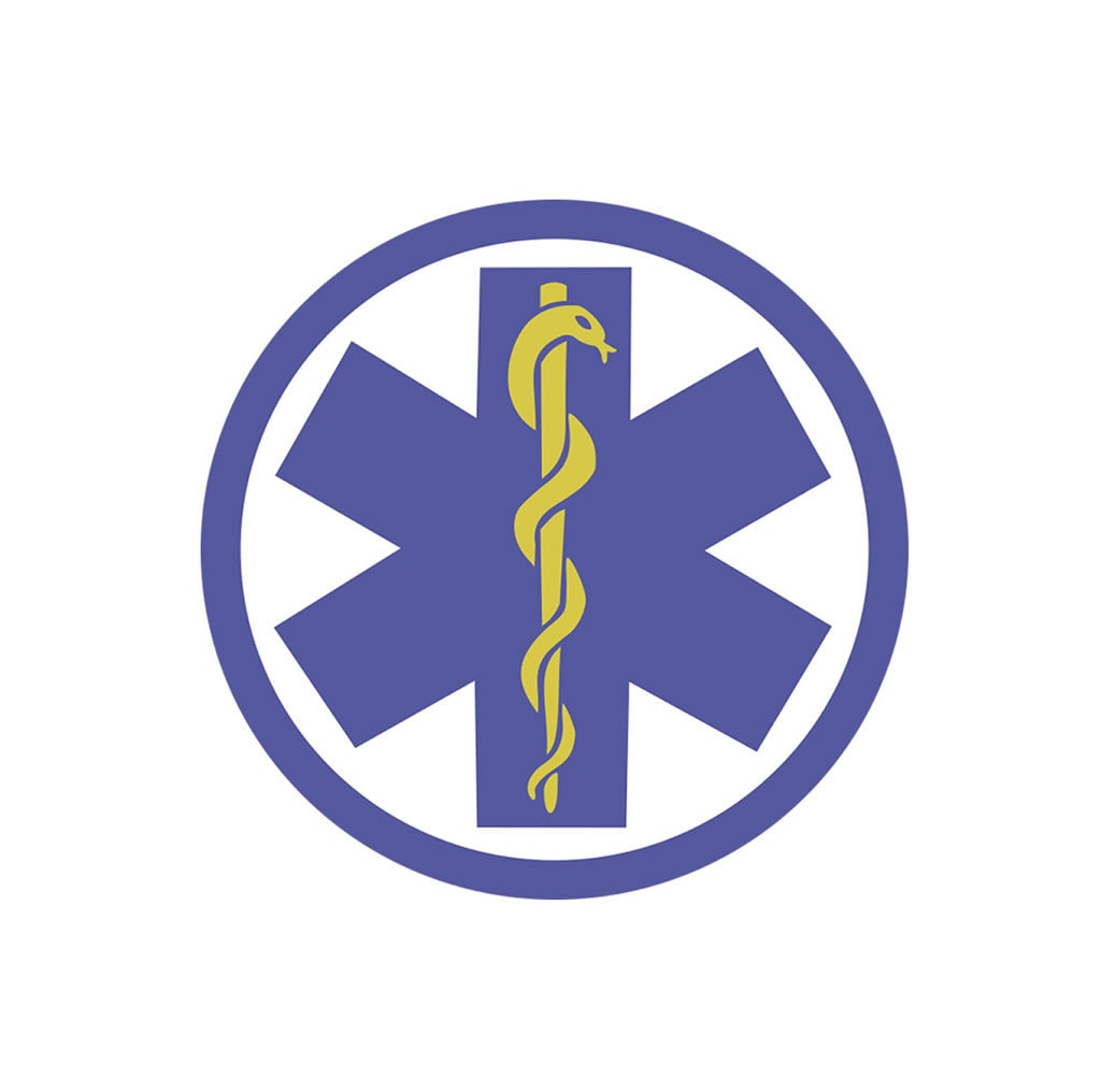 Set of 2 Staff / Rod of Asclepius Medic badge DIY Iron on Screen print Patch for fabric transfer Doctor Nurse Star of Life ambulance Sign