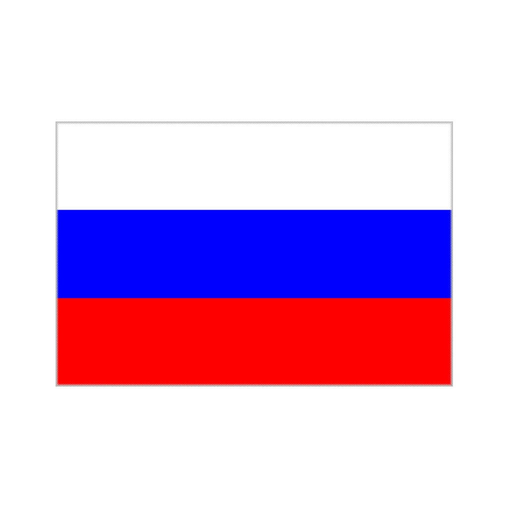 RUSSIAN FLAG iron on transfer