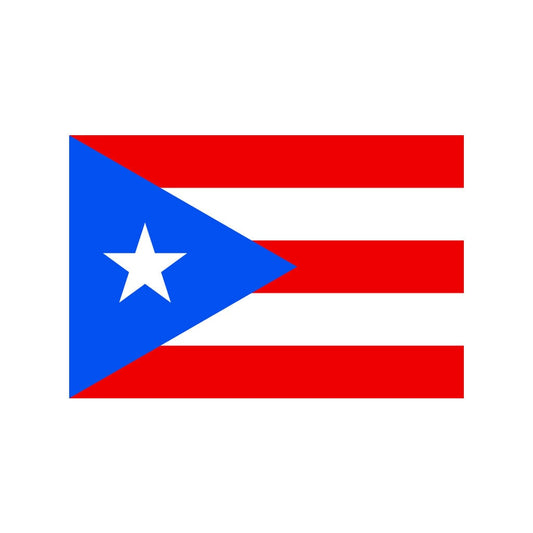 Set of 2 Puerto Rico Flag IRON ON Screen Print Transfers for Fabrics Machine Washable Puerto Rican Flag patch