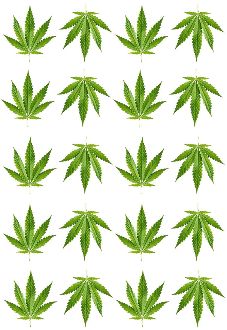 Set of Cannabis Temporary Tattoo marijuana plant leaf patch Weed Waterproof hemp Rasta body art