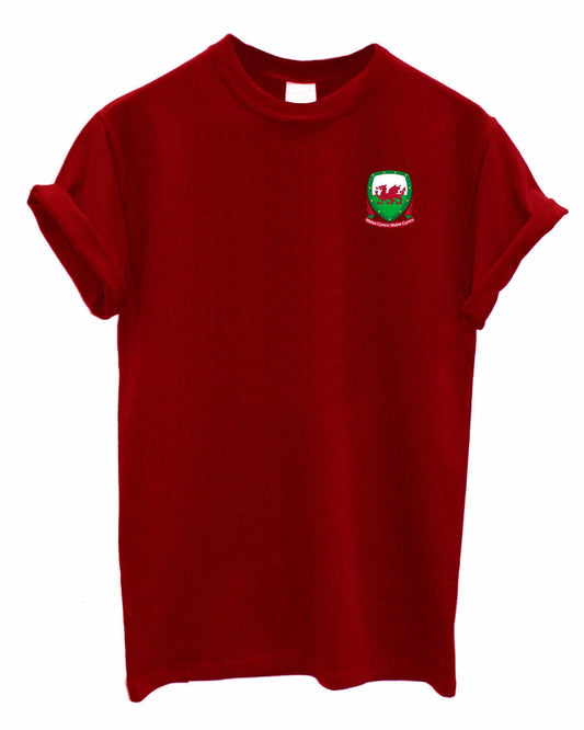 Wales Team Crest Unisex Crew neck Tshirt Support your Country football rugby cricket Welsh