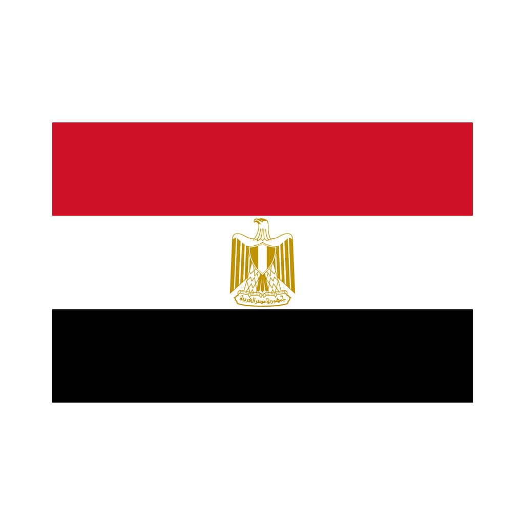Set of 2 Egypt Flag Iron on Screen Print Transfers for Fabrics Machine Washable Egyptician Flag  patch