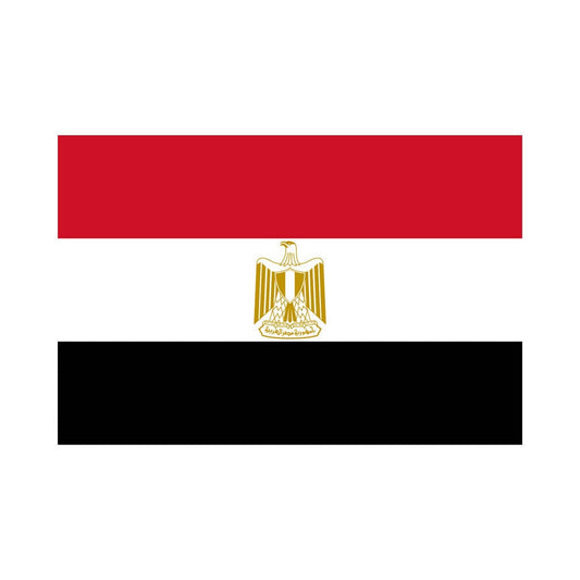 Set of 2 Egypt Flag Iron on Screen Print Transfers for Fabrics Machine Washable Egyptician Flag  patch