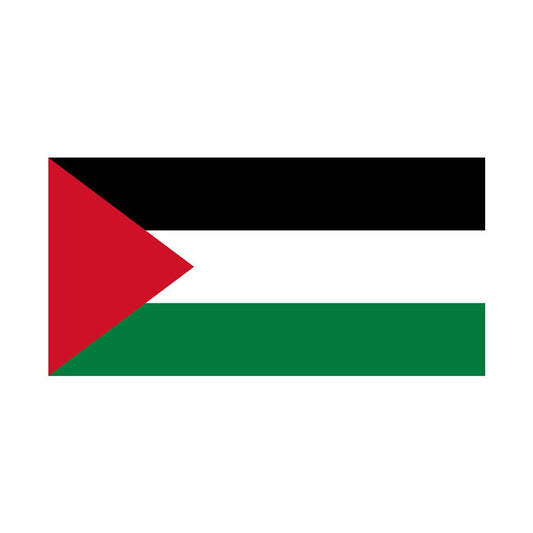 Set of 2 Palestine Flag Iron on Screen Print Transfers for Fabrics Machine Washable Palestinian Flag patch