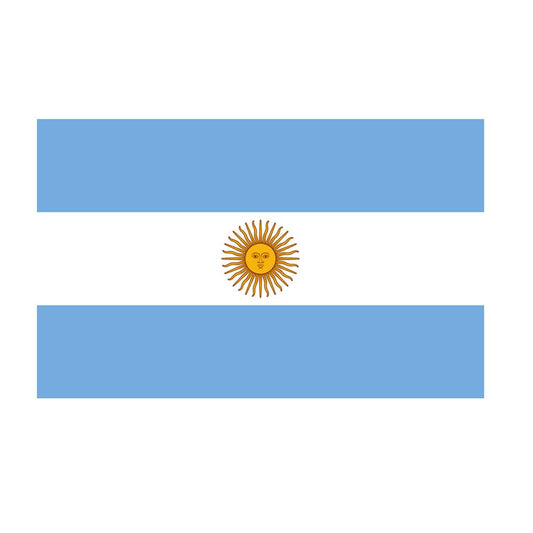 Set of  2 x Argentina Flag Iron on Screen Print for fabric Transfer Argentine Republic patch