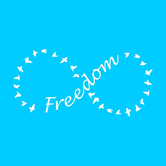 Set of 2x Freedom Iron on Screen Print Transfer patch for fabric eternal freedom