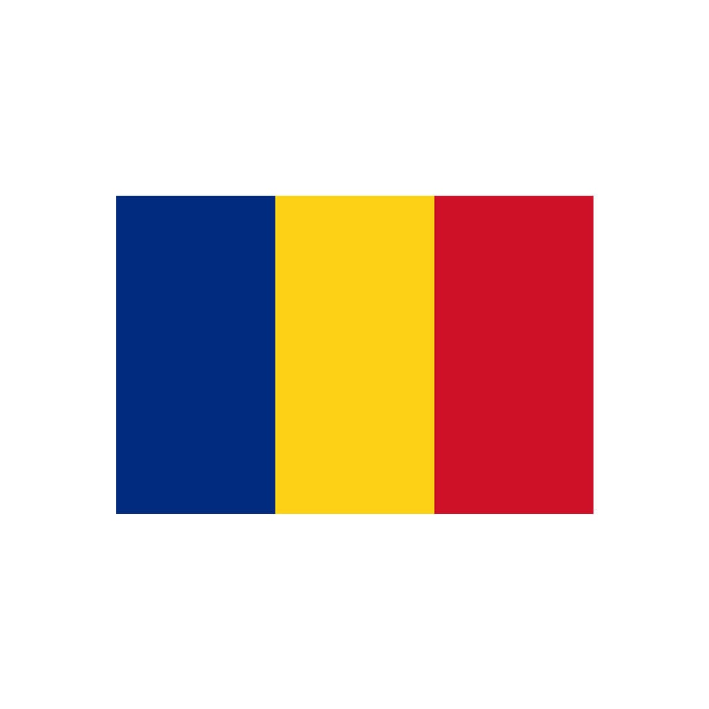 Set of 2 x Romania Flag Iron on Screen Print transfer for fabric Machine Washable Romanian Flag