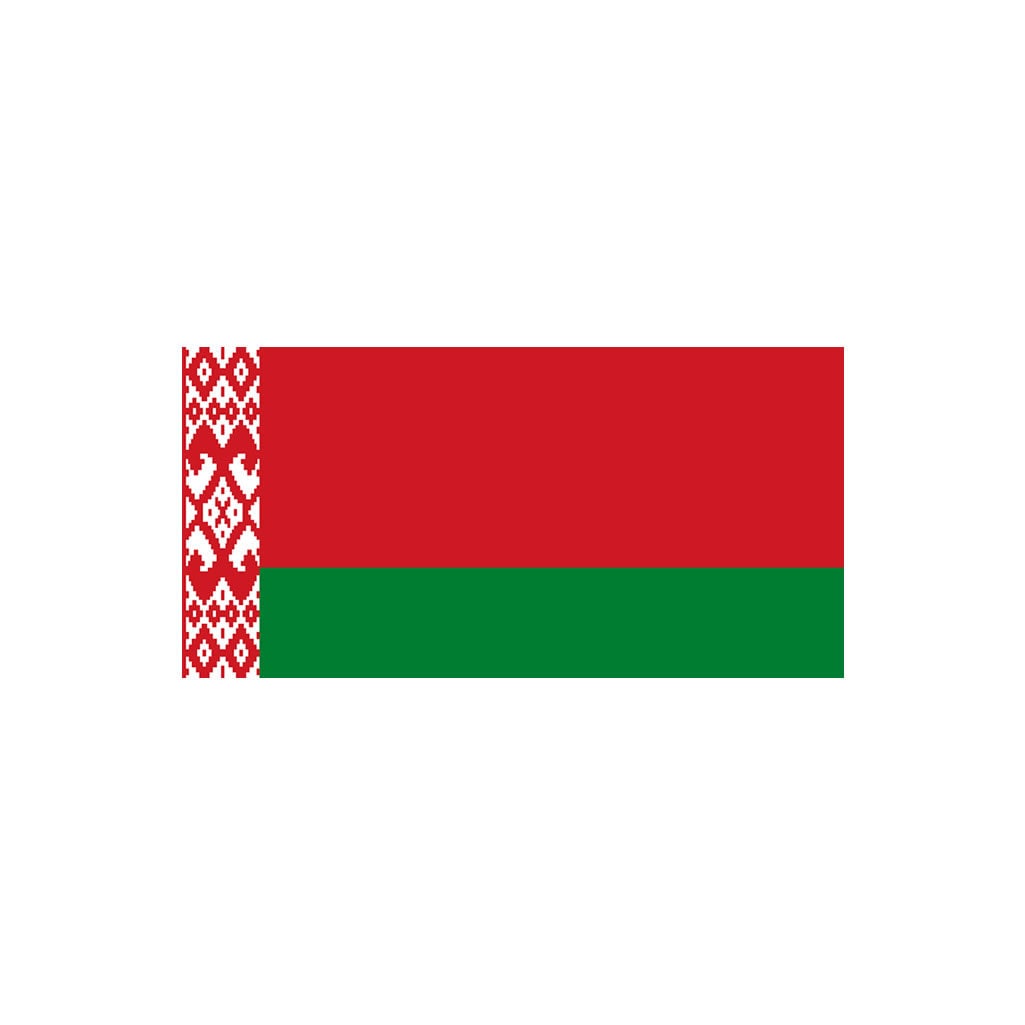 Set of 2 x Belarus Flag Iron on Screen Print Transfers for Fabrics Machine Washable Belarusian patch