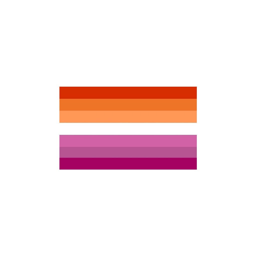 2 x Lesbian sunset Flag Iron on Screen Print Transfers for fabrics Washable LGBT