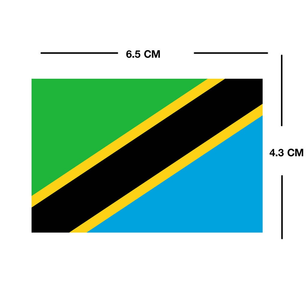 Set of 2 x Tanzania Flag Iron on Screen Print for fabric Machine Washable Transfer Tanzanian Flag