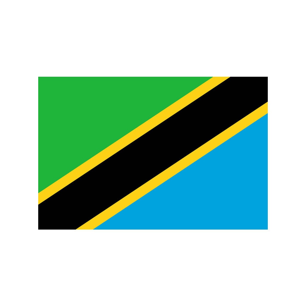 Set of 2 x Tanzania Flag Iron on Screen Print for fabric Machine Washable Transfer Tanzanian Flag