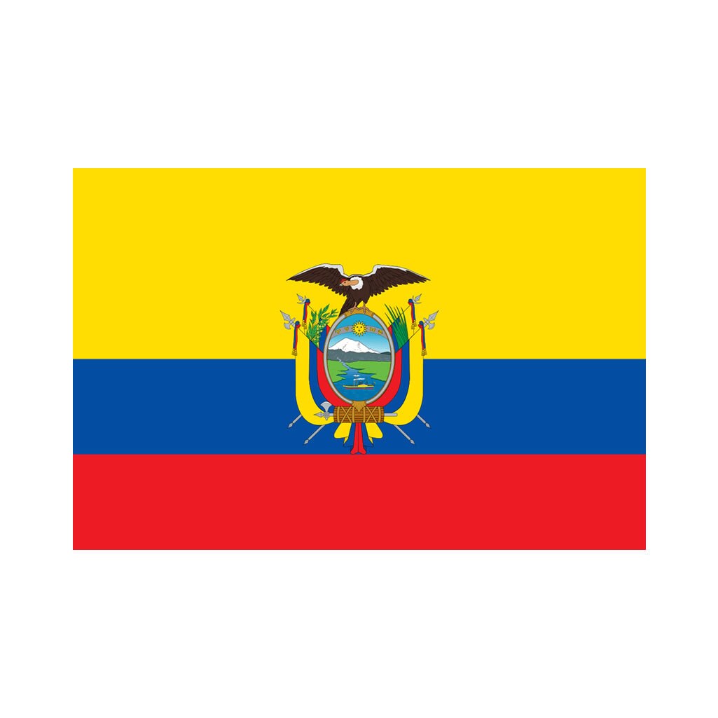 2 X Ecuador Flag IRON on Screen print transfer Patch Applique Motif