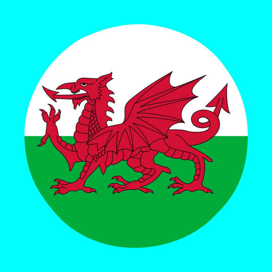 2 x Welsh Flag Circle Iron on Screen Print Transfers for Fabrics Machine Washable Wales Flag patch