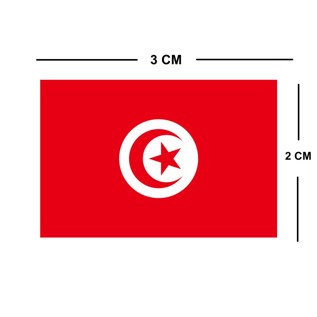 4 X Tunisia Flag IRON on Screen print transfer Patch Applique Motif Tunisian