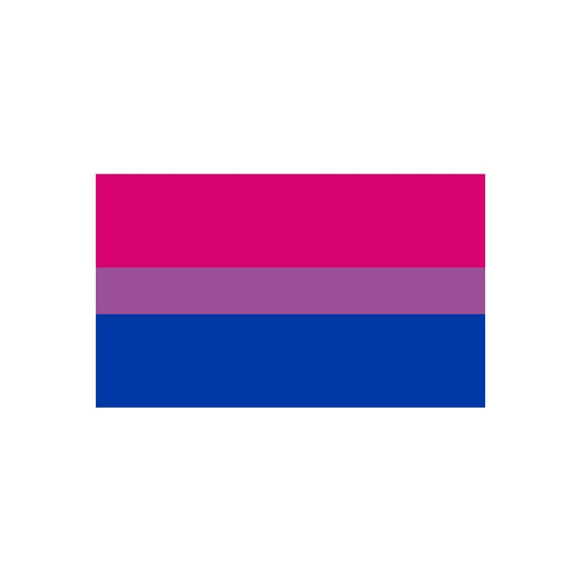 Bisexual Pride Flag Iron on screen print Transfers for Fabrics appliqué / patch