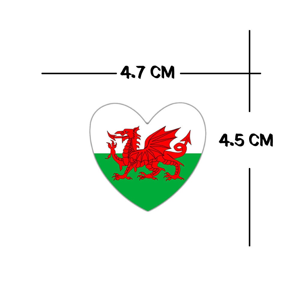 Set of 2 X Welsh FLAG Temporary Tattoo Waterproof Lasts 1 week Wales Dragon Flag for country support six nations, rugby, football, cricket