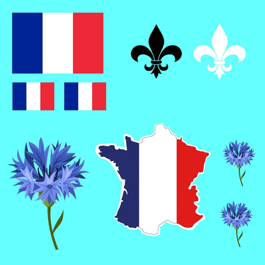 9 x French Iron on Screen Print Transfer for fabric France Flag map fleur de lis