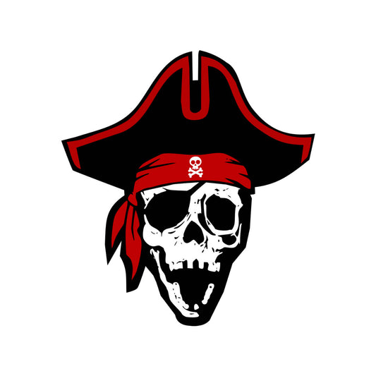 Pirate Skull iron on Screen print Transfer for fabrics  eye patch theme