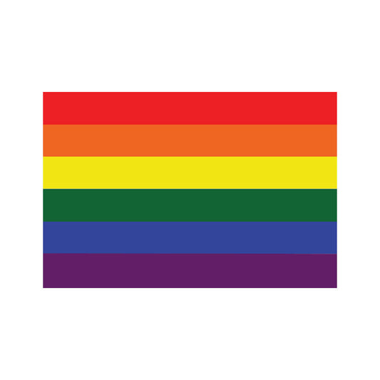 Set of 2 LGBT Pride Flag Iron on Screen Print Transfers for Fabrics Machine Washable Gay Pride Flag patch