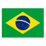 Set of 2 Brazil Flag Iron on Screen Print Transfers for Fabrics Machine Washable Brazilian Flag patch