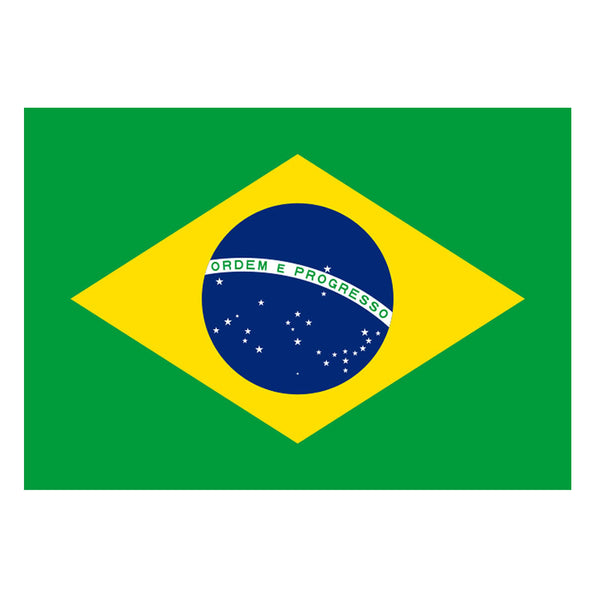 Set of 2 Brazil Flag Iron on Screen Print Transfers for Fabrics Machine Washable Brazilian Flag patch