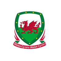 Welsh Team Crest Iron on Screen Print Transfers for Fabrics Machine Washable Wales Flag Crest patch