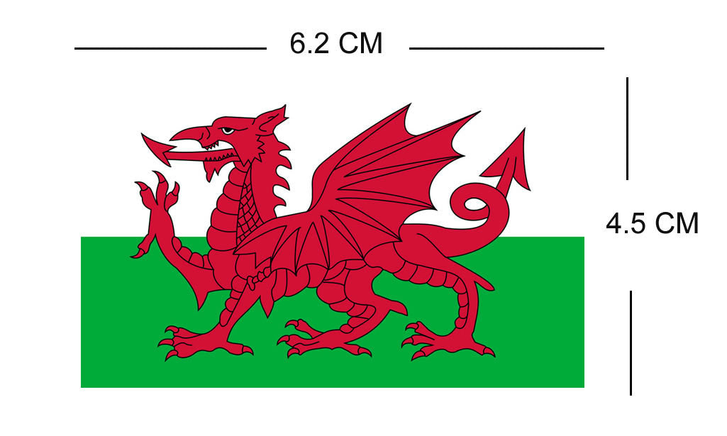 Set of 2 Welsh Flag Iron on Screen Print Transfers for Fabrics Machine Washable Wales Flag patch