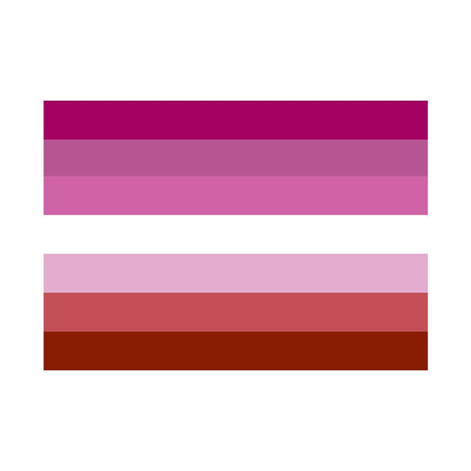 Set of 2 LGBT Pride Flag Iron on Screen Print Transfers for Fabrics Machine Washable Gay lesbian Pride Flag patch