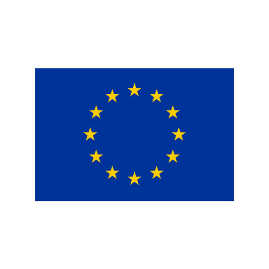 Set of 2 European Flag Iron on Screen Print Transfers for Fabrics Machine Washable Europe EU Flag patch