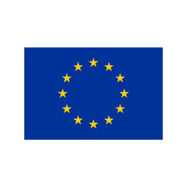 Set of 2 European Flag Iron on Screen Print Transfers for Fabrics Machine Washable Europe EU Flag patch