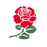 Set of 2 x English Rose Iron on Screen Print for fabric Machine Washable England Rugby Cricket Team